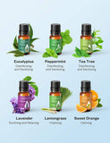 Essential Oils Set - 6 Pack